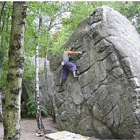 Le Milliacois Milly-la-Foret